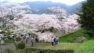 【イージーリスニング24】「ロミオとジュリエット」愛のテーマ（カラベリ）