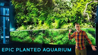 17-Foot Aquarium with Massive Living Wall — EPIC AQUASCAPE