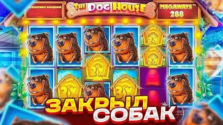 ФИФИЧ ПОЙМАЛ МАКСВИН В THE DOG HOUSE MEGAWAYS НЕ КЛИКБАЙТ !!! ЗАКРЫЛО СИНИХ СОБАК С ПОЛЯНОЙ ВИЛДОВ !