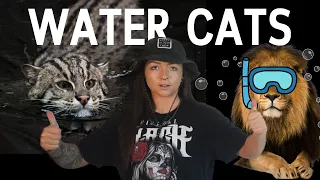 Cats that evolved for LIFE in the WATER