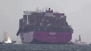 Containerschiff verliert massenhaft Container vor Küste Japans