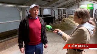 Фермер из Татарстана может остаться без своего дела из-за конфликта с подрядчиком