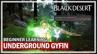 Learning Underground Gyfin Rhasia Temple - 300 AP Zone | Black Desert