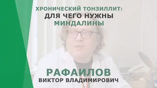 Хронический тонзиллит: для чего нужны миндалины | Рафаилов Виктор Владимирович | КОРЛ Казань