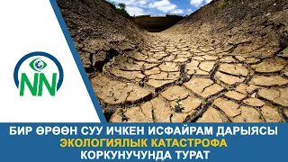 Бир өрөөн суу ичкен Исфайрам дарыясы экологиялык катастрофа коркунучунда турат