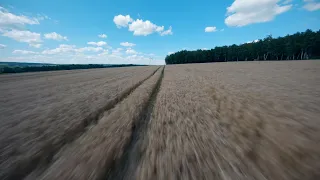 Roads of Summer 1/ FPV nature Russia / Лето глазами iFlight Chimera 7