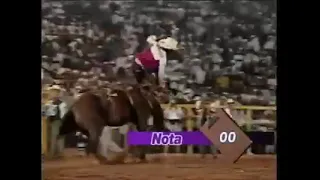 Sansao silva meneses (Rodeio de barretos Ano 1994)Final do Rodeio