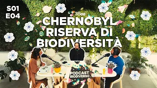 Energia nucleare: benefici e rischi per l'ambiente, da Chernobyl a Banqiao - Podcast Biodiverso