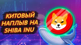 SHIBA INU: КИТЫ ВОЗВРАЩАЮТ В КОШЕЛЁК ТОКЕНЫ ШИБ!/ 42% ПРИБАВИЛОСЬ ЗА 24 ЧАСА!