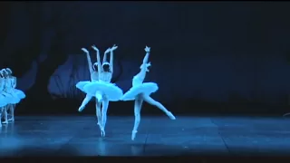 Swan Lake Jose Martinez with Tokyo Ballet