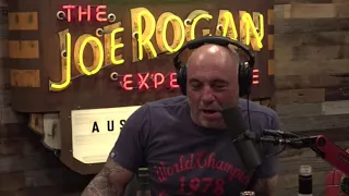 The Highest Joe Rogan Has Been on his Podcast