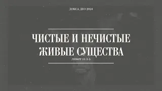 Чистые и нечистые живые существа