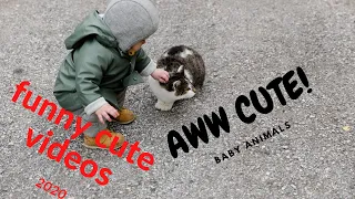 AWW CUTE BABY ANIMALS Videos Compilation cutest moment of the animals - Soo Cute! #5 | Pawsify