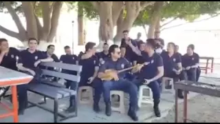 Турецкие полицейские поют "Домбыра" песню