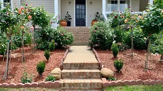 Quick Front yard tour before storm - Early spring Rose garden in April’24  @sirihomerose