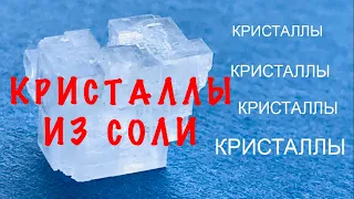 Кристаллы из соли 💎 | Как вырастить в домашних условиях| Морская соль VS Поваренная соль