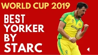 Starc,s Yorker to Ben Stokes | The Best Yorker of World Cup 2019