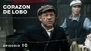 CORAZÓN DE LOBO. Película Completa en Español. Episodio 10 de 12. RusFilmES