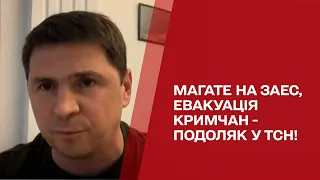 Михаил Подоляк в ТСН: МАГАТЭ на ЗАЭС, эвакуация из Крыма и "жара" на всей линии фронта