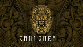 Dirtwire - Cannonball