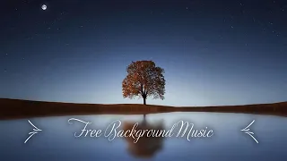 # 1 Hour Upbeat Background Music Best MBB Music Collection Free Download