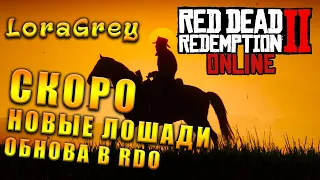 Обновление Red Dead Online |  РДО Новые Окрасы Ахалтекинцев