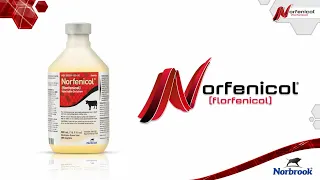 Norfenicol®