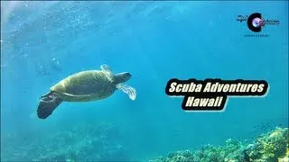 Scuba Adventure Hawaii ~ Diving in Paradise with the GoPro Hero 3 Black