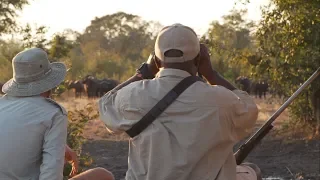 Walking Africa