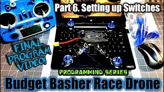 How to set up Switches in Betaflight and In Transmitter