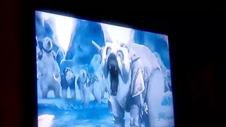 Polar bear fight ( the golden compass)