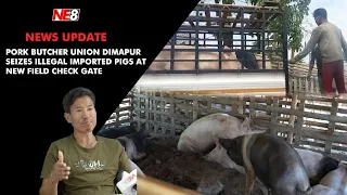 Pork Butcher Union Dimapur seizes illegal imported pigs at New Field check gate