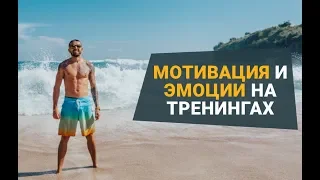 Мотивация и эмоции на тренингах