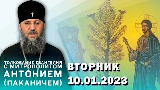 Толкование Евангелия с митр. Антонием (Паканичем). Вторник, 10 января 2023 года.