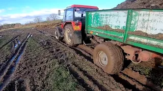 MOKRÝ ODVOZ HNOJE//ZETOR 7745