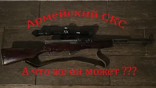 Армейский СКС  А что же он может