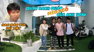 Ngáo TV / Cùng Team Đại Náo Quán Mèo Ngố Của Anh Tony