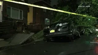Tree Crashes Cars, Downed Power Lines | Borough Park Brooklyn
