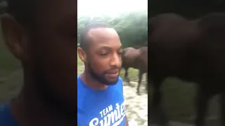 SC man goes viral after singing 'Lion King' song with his donkey ..