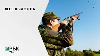 В РБ выявили 23 нарушения правил охоты за первые 2 дня весеннего сезона