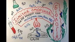 Біологія 9 клас. Лепбук Красовської Арини та Осмоловської Ніки. Екосистема.