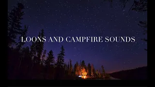 1 Hour Loon Calls With Campfire Sound - Loon Calls For Relaxing; *NO MUSIC*