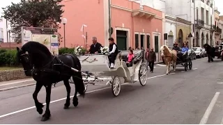 "Passeggiata Folkloristica dei Cavalli" 2016