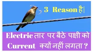 Why Birds Don't get Shock while Sitting on Electric live wire (In Hindi)