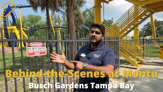 Insider Tour of Montu Roller Coaster at Busch Gardens Tampa Bay