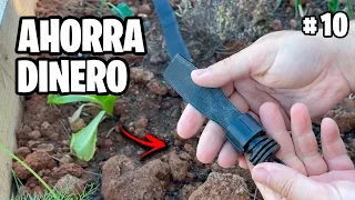 💧 El MEJOR SISTEMA de RIEGO para Huerto y Jardín!! + Caña de Azúcar  Vlog #10 | La Huerta de Ivan