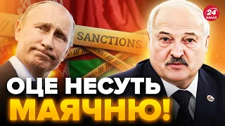 🤯Просто ЖЕСТЬ! Реакція Білорусі на САНКЦІЇ