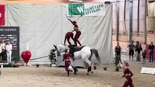 Schweizermeisterschaften Voltige 2023 Corcelles - Seniorteam Lütisburg