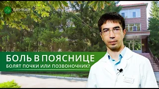 Боли в пояснице. Это почки? Или позвоночник? Поможем с диагностикой в домашних условиях.