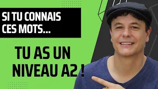 Si tu Connais ces Mots tu as un Niveau A2 en Français !